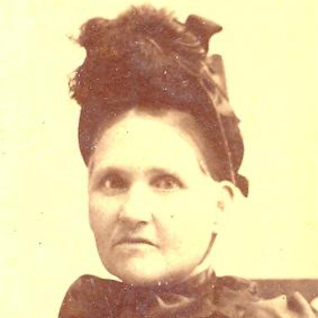 Eliza Ann Harrison (1840 - 1901) Profile